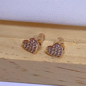 Aretes de aza