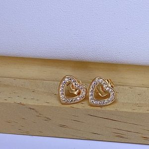 Aretes de aza